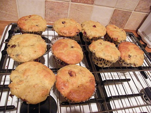 7092254665_7c34158aae