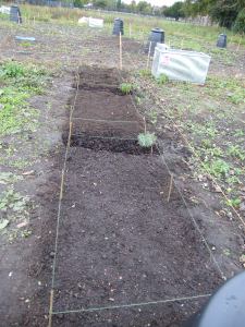 2013-10-19-after-planting-3