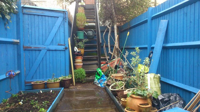 03 Rear garden